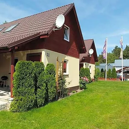 Rainer's