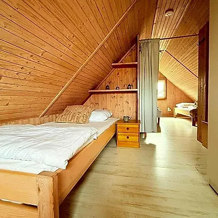 Rainer's Orman Evi
